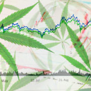 Top Marijuana Stocks To Buy Right Now? 3 To Watch In March