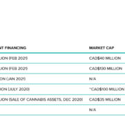 Traumatic Brain Injury (TBI): Six Psychedelics Companies Target $120 Billion Market