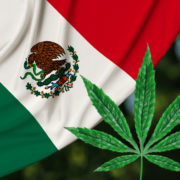 U.S. companies ready to tap into Mexico’s legal marijuana industry