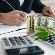Will These Cannabis Stocks See A Bounce In Trading?