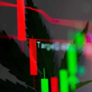 Will These Marijuana Stocks Begin To Recover In March