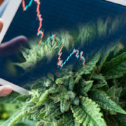 2 Marijuana Stocks To Watch As A New Month Of Trading Is Quickly Approaching