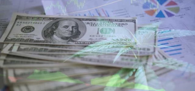 3 Marijuana Stocks To Watch This Week