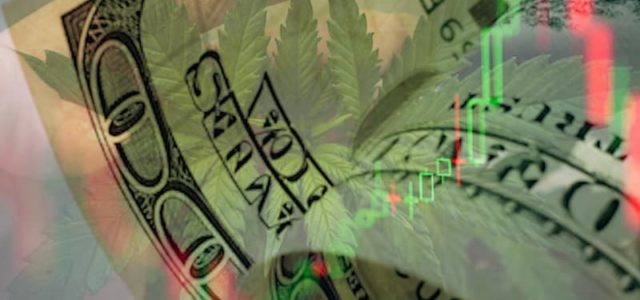 3 Marijuana Stocks To Watch This Week For Better Trading
