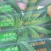 Are Marijuana Penny Stocks A Buy? 2 Analyst Predict Could Have Some Upside