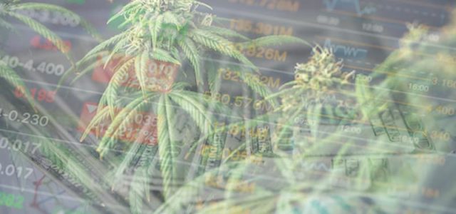 Are These Canadian Marijuana Stocks A Buy In April? 2 Pot Stocks With Gains In 2021