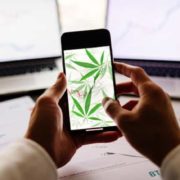 Could These Marijuana Stocks Create Long Term Gains? 2 Pot Stocks For The Long Hold