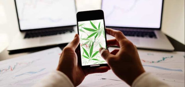 Could These Marijuana Stocks Create Long Term Gains? 2 Pot Stocks For The Long Hold