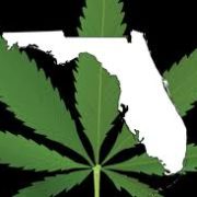 Effort to legalize recreational marijuana knocked down by Florida Supreme Court