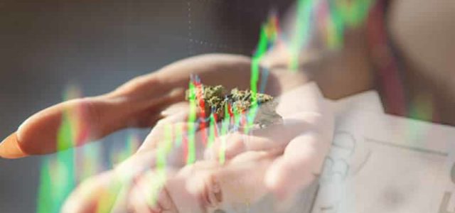 Here’s Why Investors Are Still Buying These Top Marijuana Stocks