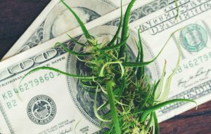 High Tide Inc: Ignored Pot Stock Up 150% in 2021; Poised for Massive Growth