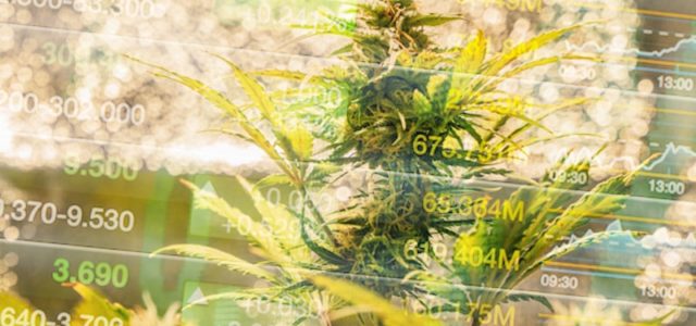 Is Now The Time To Buy These Marijuana Stocks?