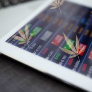Looking For Cannabis Stocks To Buy Right Now? 2 Analysts Predict Will See Gains In 2021