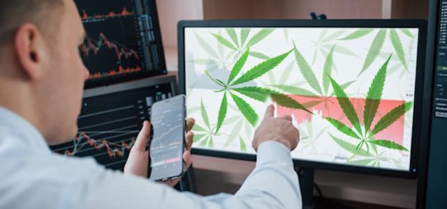 Looking For Cannabis Stocks To Invest In? 2 Canadian Companies Entering The U.S. Market