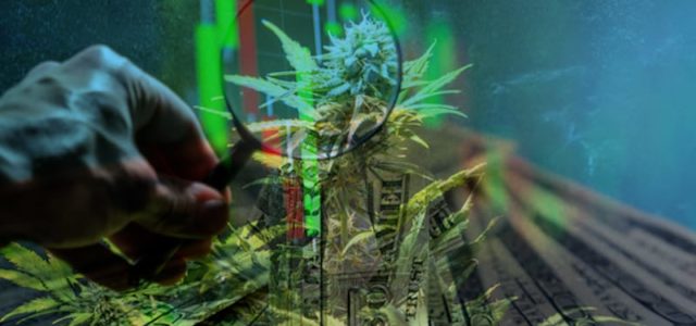 Looking For How To Invest In Cannabis Stocks For The Long Term? 2 With Potential In 2021