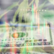 Looking For Marijuana Stocks To Buy? 2 Analysts Expect To Have Upside In 2021