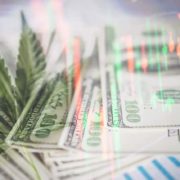 Looking For Marijuana Stocks To Buy In April? 3 For Your Watchlist Next Week
