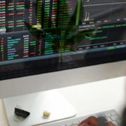 Looking For Top Marijuana Stocks To Buy? Here’s 3 Cannabis Stocks To Watch This Week
