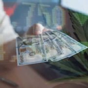 Looking For Ways To Invest In The Cannabis Market Long Term? 2 Plays For The Long Hold