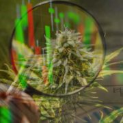 Making An April 2021 Watchlist? 2 Top Marijuana Stocks Right Now