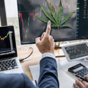 Marijuana Stocks To Buy? 2 To Watch Next Week