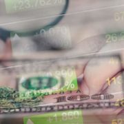 Marijuana Stocks To Buy As The Sector Still Trades Down