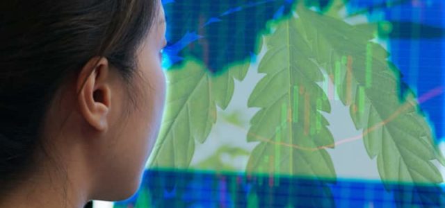 Marijuana Stocks To Watch This Month With Hidden Value