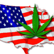 More Americans Support Cannabis Reform Than Ever Before