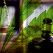 More Support For Cannabis Legislation On 4/20