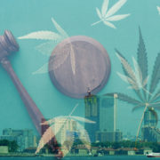 New York Has Officially Passed The Use Of Recreational Marijuana