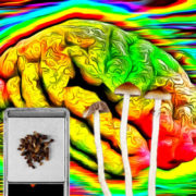 Psilocybin’s complicated relationship with creativity revealed in new placebo-controlled neuroimaging study