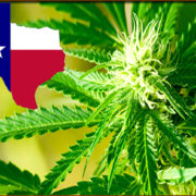 Texas Lawmakers Approve New Cannabis Legislation Bill