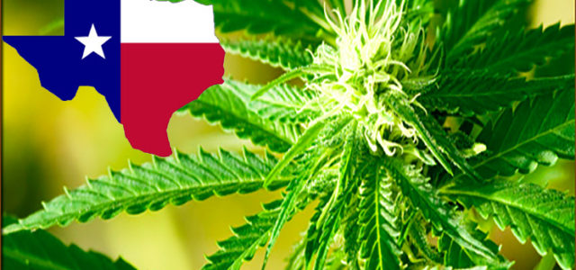 Texas Lawmakers Approve New Cannabis Legislation Bill