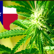 The Texas House of Representatives Has Passed New Cannabis Bill