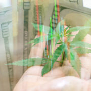 These 2 Marijuana Stocks Are Gaining Momentum: Should You Buy?