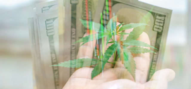 These 2 Marijuana Stocks Are Gaining Momentum: Should You Buy?
