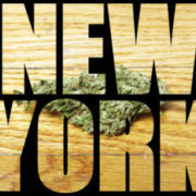 What Will Legal Cannabis Look Like in New York?