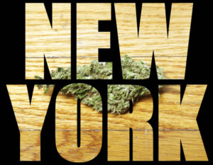 What Will Legal Cannabis Look Like in New York?