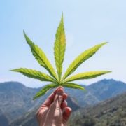 Why 2021 Could Be an Even Better Year for Marijuana Stocks