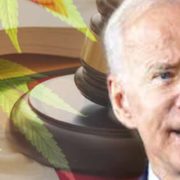 Why Won’t Biden Sign The Bill To End Cannabis Prohibition?