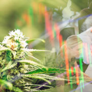 Will These Marijuana Stocks See A Turn Around In Trading In April?