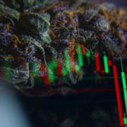 2 Biotech Cannabis Stocks To Watch In June 2021