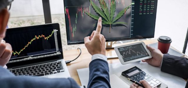 2 Marijuana Stocks To Watch First Week Of May