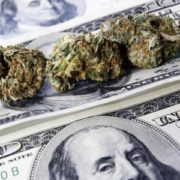 Adult-Use Legalization Has Led to $7.9B in Tax Revenues for States