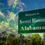 Alabama Is The Newest State To Legalize Medical Marijuana
