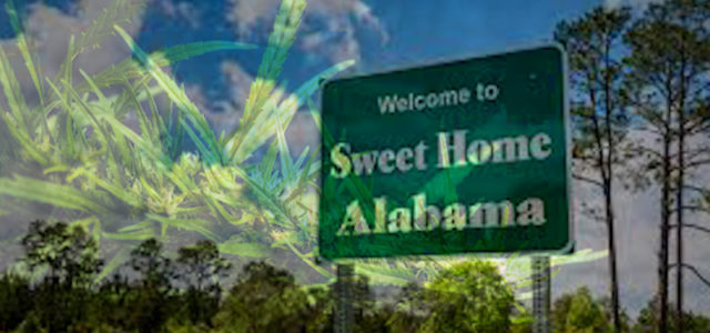 Alabama Is The Newest State To Legalize Medical Marijuana