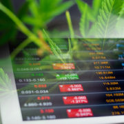 Are Canadian Cannabis Stocks Ready For A Rebound? 3 To Add To Your Watchlist Next Week