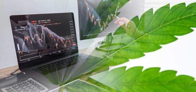 Are You Ready To Invest In These Marijuana Stocks? 2 To Watch Right Now