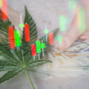 Best Marijuana Stocks To Buy? 3 To Watch Next Week