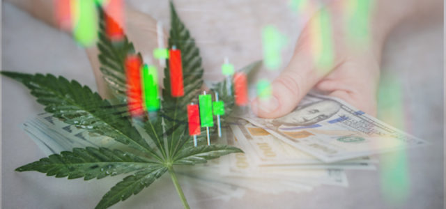 Best Marijuana Stocks To Buy? 3 To Watch Next Week